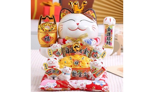 고양이인테리어 가성비 순위 BEST 5