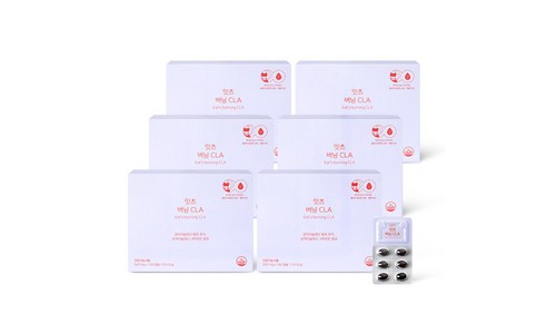 다이어트보조제 가성비 순위 BEST 3