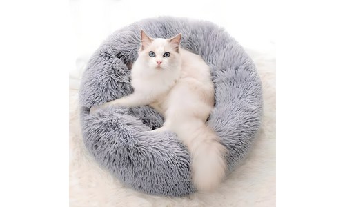 저렴한캣타워 성능 순위 구매가이드