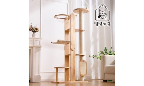 미니캣타워 가성비 순위 BEST 5