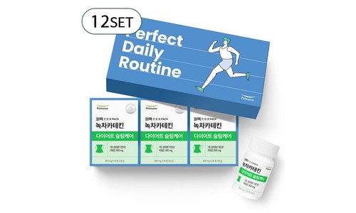 카테킨 가성비 순위 최저가구매팁